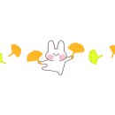 꽃과함께하는힐링원예 이미지