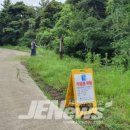 제주 천제연 난대림 이미지