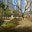 교방동115 이미지