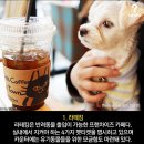 라떼킹북한산점 이미지