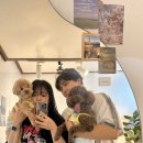 아지스테이션 이미지