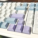 [내돈내산 후기] 씽크웨이 VGN TV99 유무선 기계식 키보드