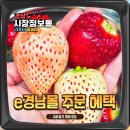 진주체육공원 내 (509번) | e경남몰 경상남도 설향 삼색딸기 씻는 법 4월딸기축제