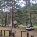 금강송민박 이미지