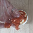 네츄럴플래닛 이미지