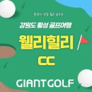웰리힐리cc 강원도횡성골프장은 뷰가 아름답습니다.