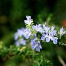 성호공원_성호기념관주변 이미지