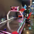 풍류코인노래연습장 이미지