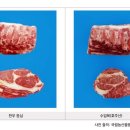 진짜한우 이미지