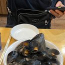 마졸리부떼이 이미지