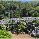 소동연가 이미지