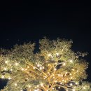 국립축산과학원 난지축산연구소 네이버블로그