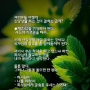 밀양고등학교 이미지