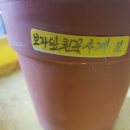 시랑 초등학교 이미지