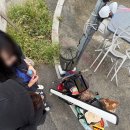 원전 | [창원/마산] ‘용마낚시’ 원전 낚시 해상콘도 바다낚시 후기