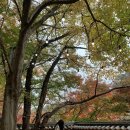 제로미카페 이미지