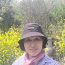 비블리아성서식물원 이미지