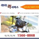 서교동퀵서비스 이미지