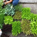 홍농종묘사 이미지