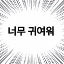 몽그라미 이미지