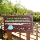 춤새마을 이미지