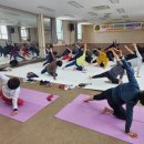 실버요가 이미지