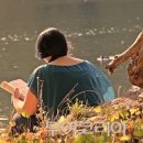 스테이결 이미지