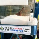 대한키즈스윔스쿨 김천캠퍼스 네이버블로그
