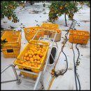 다미농장 이미지