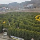 바람아래관광농원