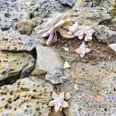 해담스테이 이미지