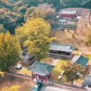 지역문화육성지원 선정 '공자 예악에 노닐다'-Normal People 이미지