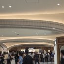 커피브라운두정3호점 | [강남/고터] 신세계 강남점 아임도넛 3호점(도넛)|%아라비카(커피)|메뉴, 웨이팅