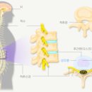 한울의원 이미지