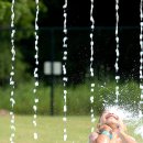 영상컬럼 07년 05월 22일 (화요일) 이미지