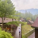 미리내 하우스 펜션 | 한국의 스위스 거프스 거창 국민여가캠핑장 미리내숲 남두육성 후기(+브라이덜샤워)