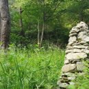 칠석농장 이미지