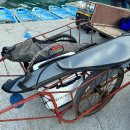 고니민박 이미지