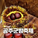 공주공원 공주공원 주차장 우측 | 2026 겨울공주 군밤축제 기본정보 먹거리 알밤 가격 방문후기 주차장