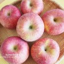 엘림농장 이미지