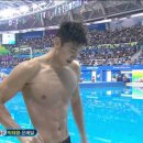 보스돼지 이미지