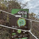 다이어트 킵고잉💪🏻 당근 킵고잉🥕 건강만 하자 12월 일상