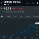 팜올리브 이미지