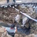 경주한약품 이미지