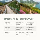 갤러리서피랑 이미지