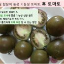 토마토판매