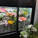 [부천꽃집] 르베이지 플라워, 영롱보스 색 조합 선물하기 좋은 신중동 꽃바구니 꽃다발