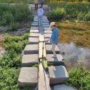 율하천자전거길 이미지