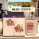 꽃보다 인생 원예 테라피 | 대구 수성구 지산동 경락 받고 나서 느낀 변화 다이어트관리 주연힐링테라피