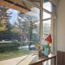 홍산우체국 1층 | 가벼운 산책, 전주 효자동 단풍나무길(전북지방우정청~도교육청)&amp;소금빵맛집 '주과자'까지